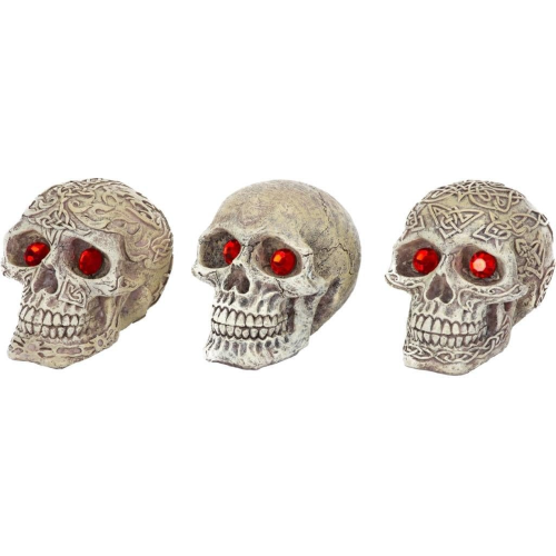 Aquatic Ornament Skull Gazers - Assorted Styles (7cm)