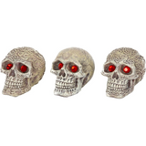 Aquatic Ornament Skull Gazers - Assorted Styles (7cm)