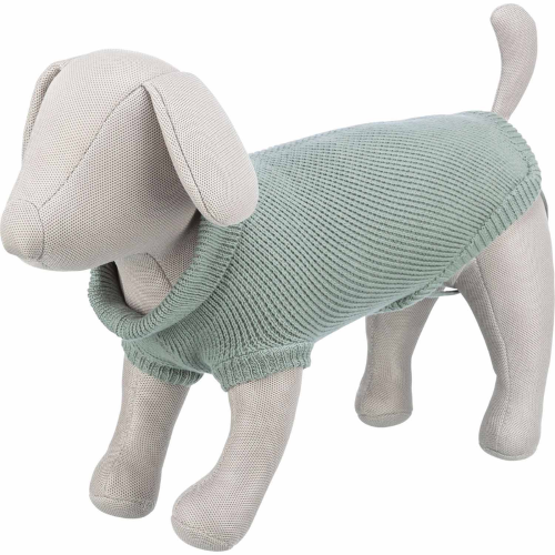 Cozy sage pullover for dogs, made of cotton and wool, with a generous leg cutout for freedom of movement. Size S.