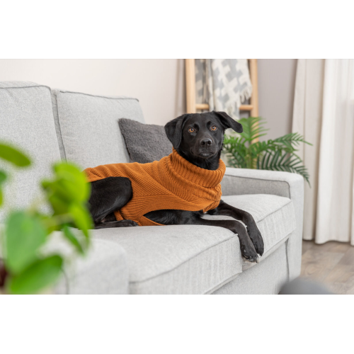 Rust-colored pullover for dogs, made of cotton and wool, with generous leg cutouts for comfort and movement.