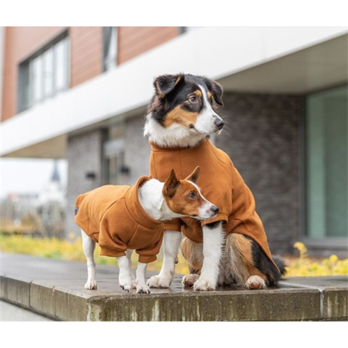 Rust cotton sweatshirt for dogs with warming inner side and back zipper, ideal for chilly winter days. Size XS.