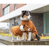 Rust-colored cotton sweatshirt for dogs, warm inner side, back zipper, size S, designed for winter comfort.