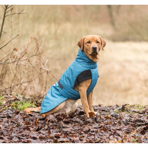 Winter Coat for Dogs - Riom S/35cm (Blue)