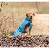 Winter Coat for Dogs - Riom S/35cm (Blue)