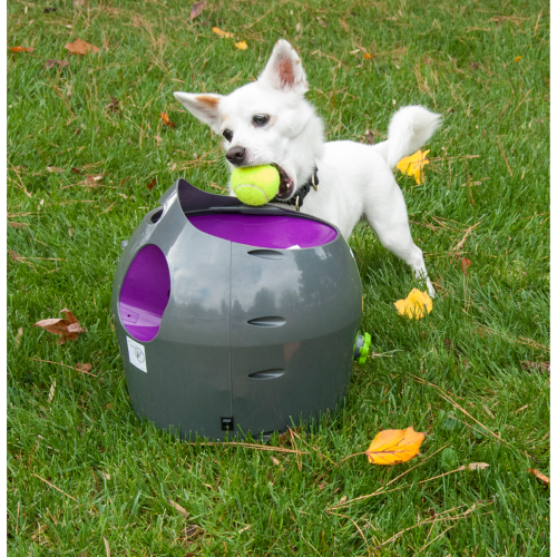 Automatic Ball Launcher - PetSafe