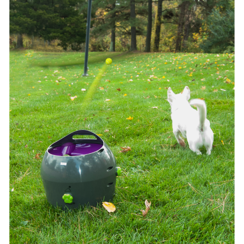 Automatic Ball Launcher - PetSafe