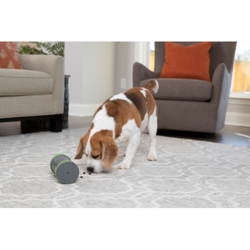 Kibble Chase Roving Treat Dispenser - PetSafe