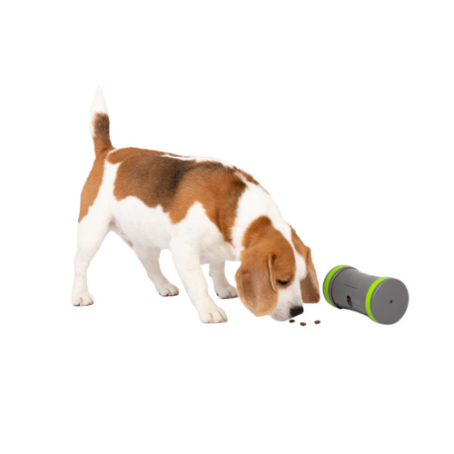 Kibble Chase Roving Treat Dispenser - PetSafe