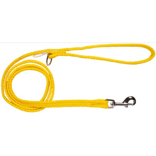 Double Nylon Webbing Lead - Gold (10mm x 120cm)