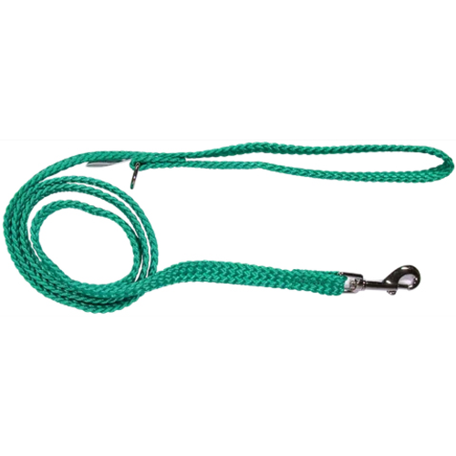 Double Nylon Webbing Lead - Green (10mm x 120cm)