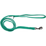 Double Nylon Webbing Lead - Green (10mm x 120cm)