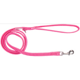 Double Nylon Webbing Lead - Pink (10mm x 120cm)