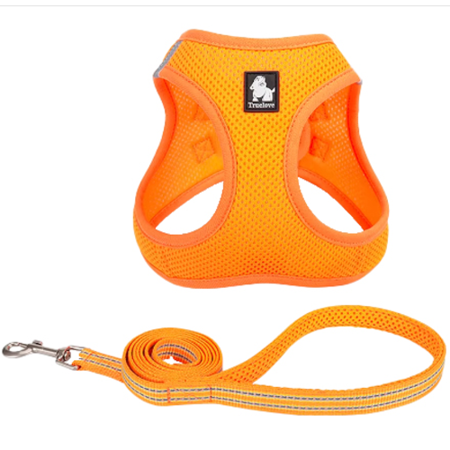 Mesh Harness & Lead Set - Flouro Orange (Large)