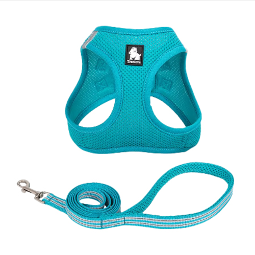 Mesh Harness & Lead Set - Teal Blue (2XS)