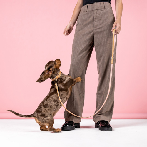 Stylish 120cm leather dog leash in Oxford Blush Lite with padded lining and durable brushed metal hardware.