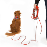 ED Dog Collar - Slimline Track n Train Leash Red (5m)