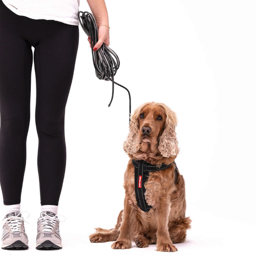 ED Dog Collar - Slimline Track n Train Leash Black (10m)