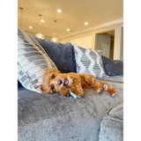 Puppy Wishbone Chew - Blue (Petite)