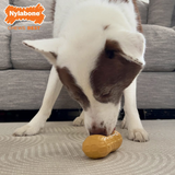 Strong chew dog toy in a peanut shape with a treat pocket for peanut butter, promoting healthy chewing habits.