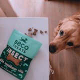 Dog Treats - Beco Insect (70g)