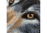 5D Diamond painting kit featuring a detailed wolf design on a 30x30cm canvas, complete with tools and colorful resin gems.