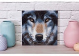"30x30cm CrystalArt Wolf Kit featuring a colorful diamond painting experience for creative relaxation and home decor."