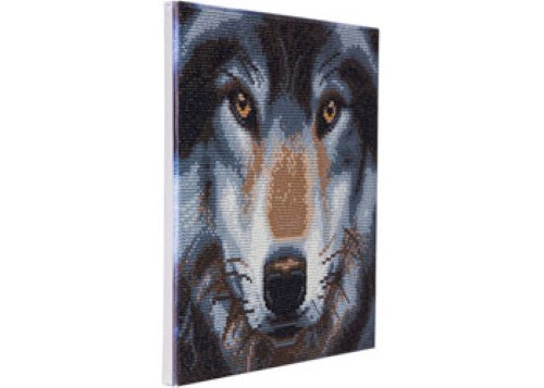 5D Diamond Painting kit featuring a detailed wolf design, complete with gems, tools, and a 30x30cm framed canvas.