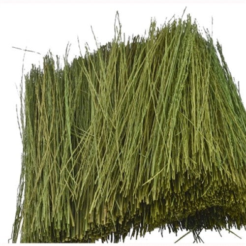 Realistic light green model grass for enhancing model railways and dioramas, perfect for lush landscapes and vibrant details.