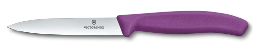 Paring Knife - VICTORINOX SWISS CLASSIC STR 10CM (Purple)