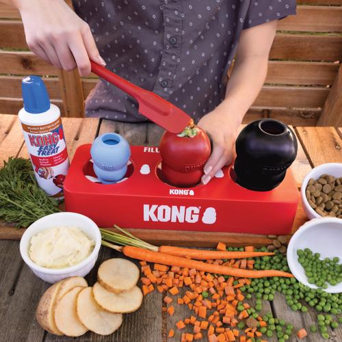 Dog Treat Freezing Tray KONG Fill or Freeze