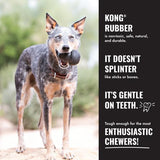Dog Treat Toy Extreme Goodie Bone KONG XL