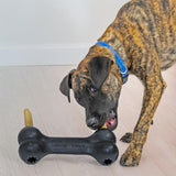 Dog Treat Toy Extreme Goodie Bone KONG XL