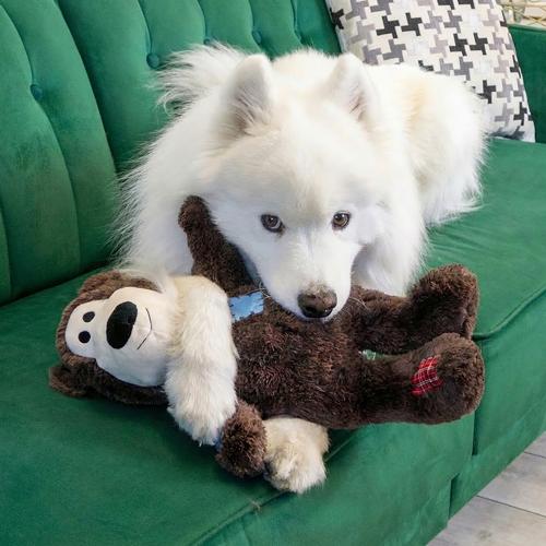 Dog Plush Toy Wild Knots Bear KONG Jumbo XL