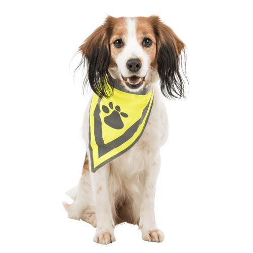Dog Reflective Neckerchief Trixie XS-S 22-28cm