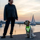 Dog Reflective Neckerchief Trixie L-XL 43-60cm