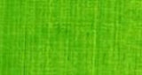 Artist Oil Paint - As Oil 40ml S3 Aust Leaf Green Light