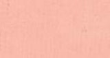 Artist Oil Paint - As Oil 40ml S1 Flesh Tint