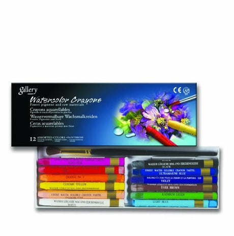 Vibrant 12-piece oil pastel and watercolor crayon set with brush, perfect for blending and creating stunning artwork.