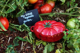 Tomato Cocotte - Staub Ceramic (0.5L)