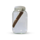 Handcraft Supplies 1 US Gallon Glass Jar with Lid