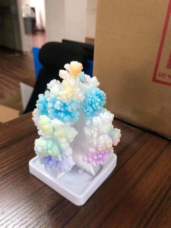 Crystal Garden Kit - NG (Set of 3) - National Geographic