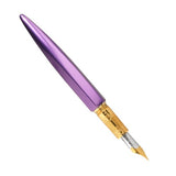 Ferris Wheel Press Fountain Pen The Marquise Aubergine Medium