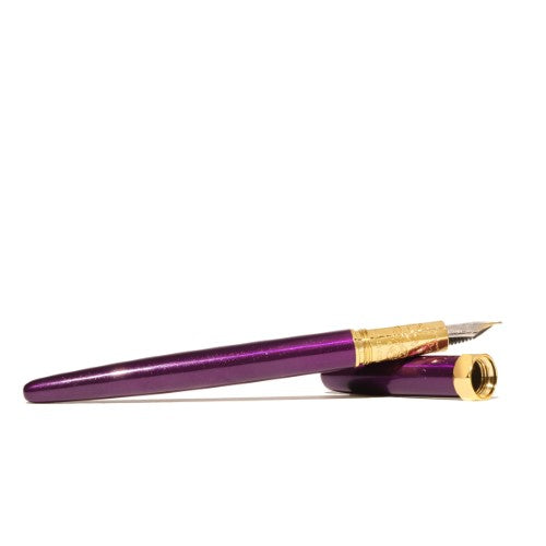 Ferris Wheel Press Fountain Pen Bijou Whispers of Twilight Medium