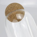 Onsen Canister - Keepsake (Clear/Natrural)