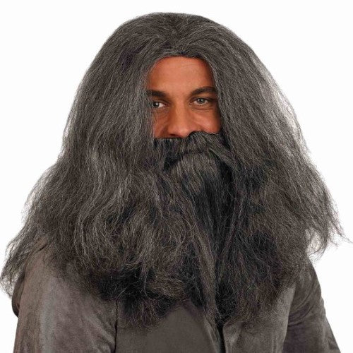 Morph Wizard Wig And Beard