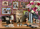 Ravensburger My Cute Kitty Puzzle 1000 Pieces