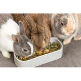 Ceramic Feeding Bowl 22 x 10cm (Assorted)