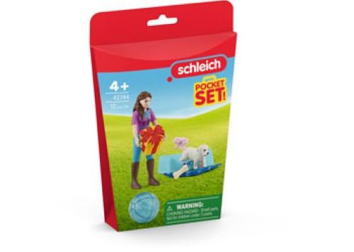 Schleich - Birthday party with Lisa