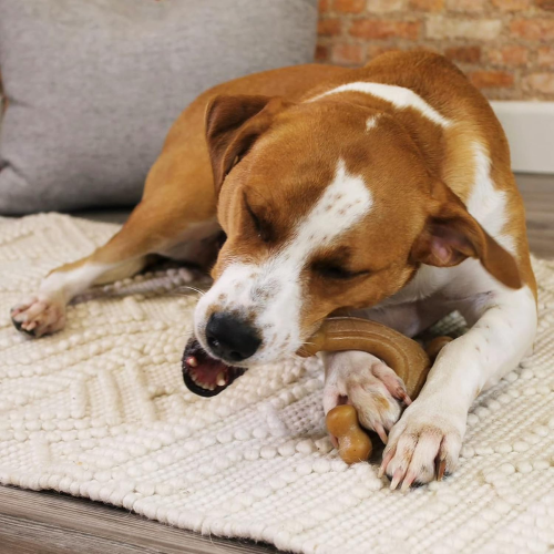 Dog Toy - Gourmet Chew Wishbone Bacon (Giant)