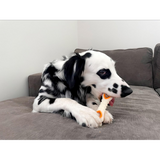 Dog Toy - Nylabone Pop-In Treats (90pk)